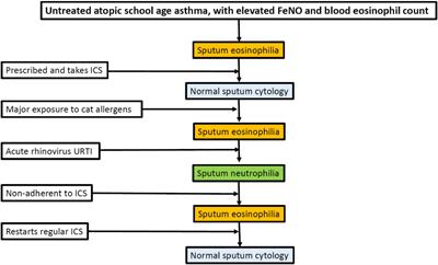 How to Choose the Correct Drug in Severe Pediatric Asthma